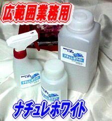 ��̳�ѥʥ����ۥ磻��