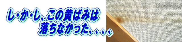 ����ʤ����Ф�